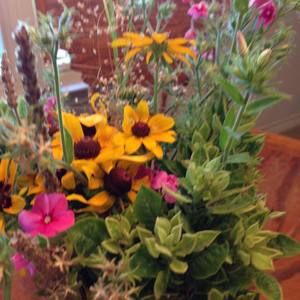 Meet your Posher, Dixie